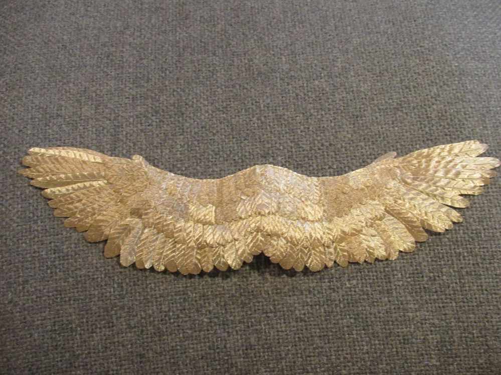 Finished Wing.JPG