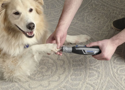 Blogpawcontroltoolhuman.png Blogpawcontroltoolhuman.png