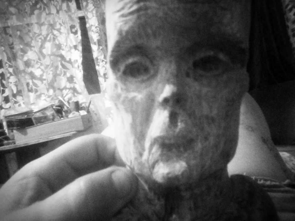 The Great Outdoors Creativity Challenge-Azul-2020-08-11-22-06-24-476_1.jpg The Great Outdoors Creativity Challenge-Azul-2020-08-11-22-06-24-476_1.jpg