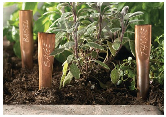 PlantMarker.png PlantMarker.png