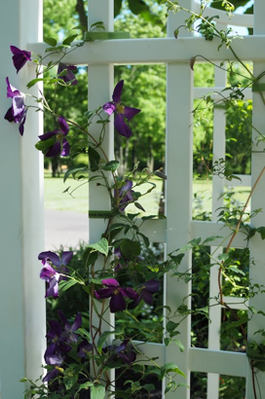 Exterior9.png Exterior9.png